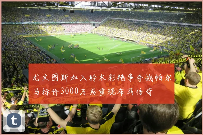 尤文图斯加入铃木彩艳争夺战帕尔马标价3000万或重现布冯传奇