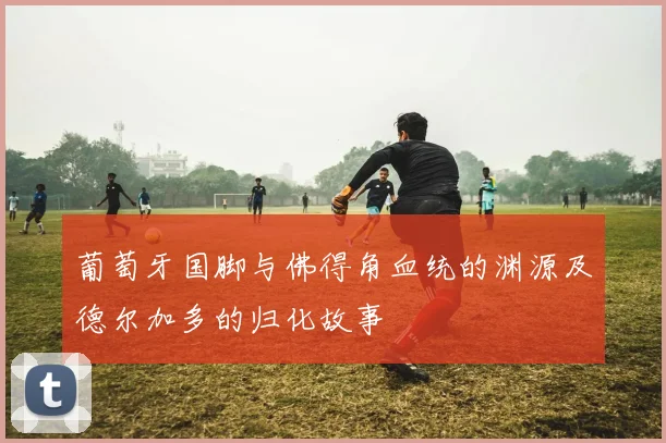 葡萄牙国脚与佛得角血统的渊源及德尔加多的归化故事